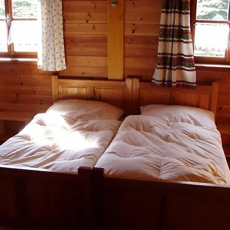 Froeschlhuette Tatil Evi *